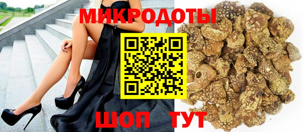 Галлюциногенные грибы Psilocybe Славгород