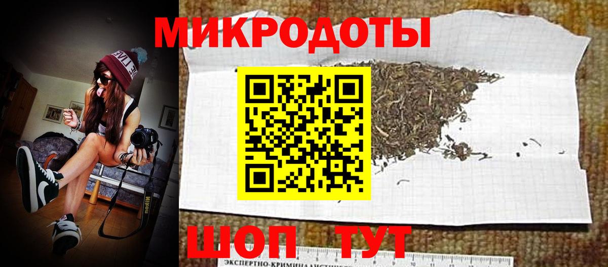 Псилоцибиновые грибы Psilocybe  где можно купить наркотик  Славгород  Вход с VPN 