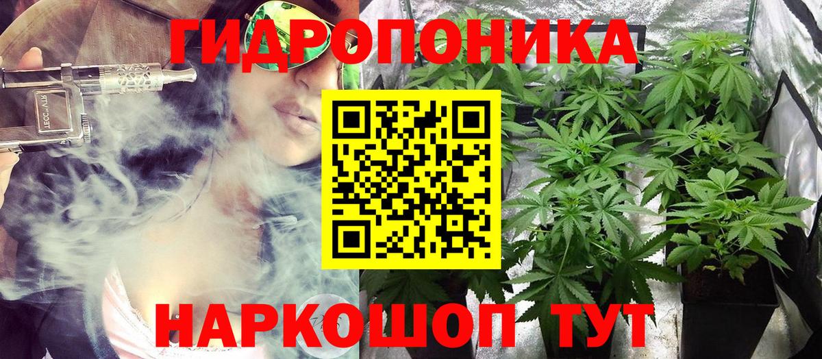 Славгород  Конопля Amnesia  Вход с VPN  Бошки марихуана THC 21%  Каннабис White Widow 